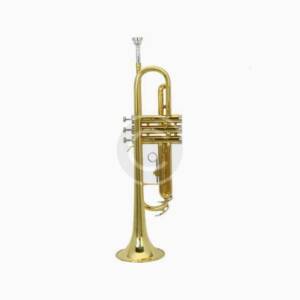 MicroMall(TM) Paint Gold Drop B
