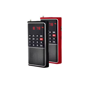 YOFITS L-338 Portable Radio FM with MP3 Player Voice Recorder
